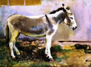 A Donkey