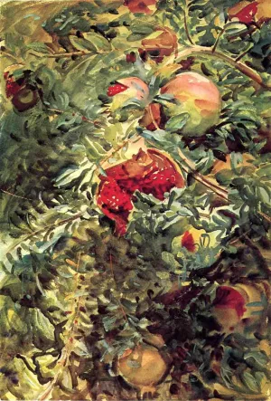 Pomegranates