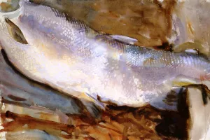 Study of Salmon 2