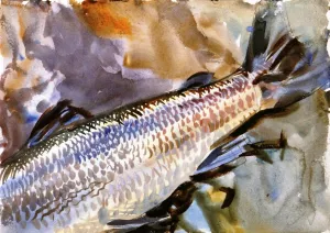 Study of Salmon 3